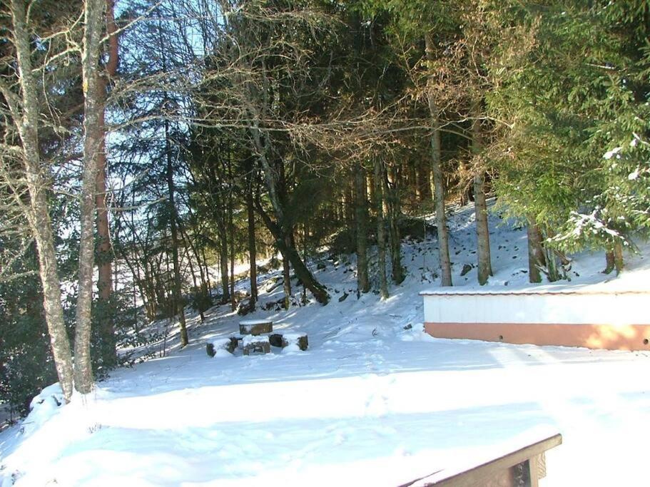 Maison D'Altitude Avec Vue Panoramique A Gérardmer Esterno foto