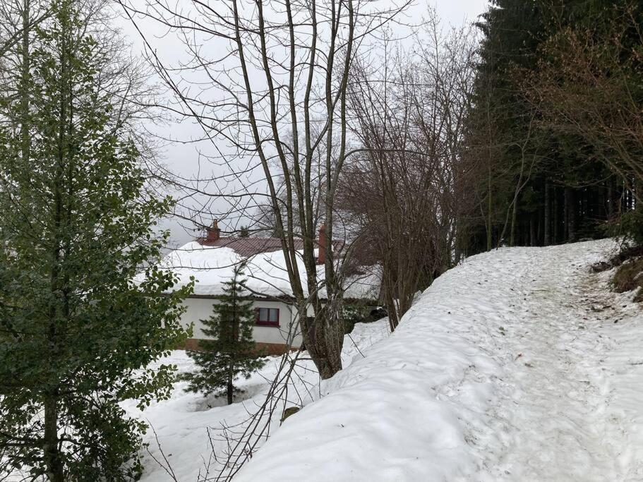 Maison D'Altitude Avec Vue Panoramique A Gérardmer Esterno foto