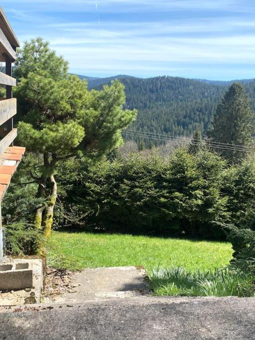 Maison D'Altitude Avec Vue Panoramique A Gérardmer Esterno foto